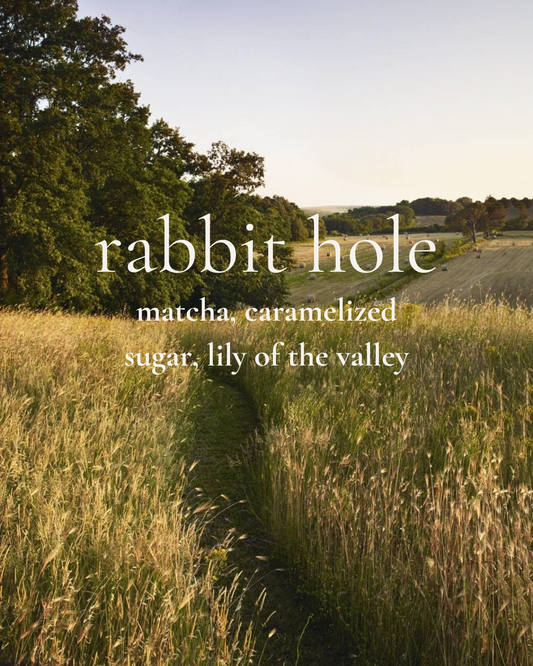 Rabbit Hole